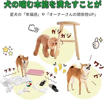 DINGO 犬のおやつ Amazon.co.jp: ディンゴ (DINGO) 犬 おやつ チキンボーン